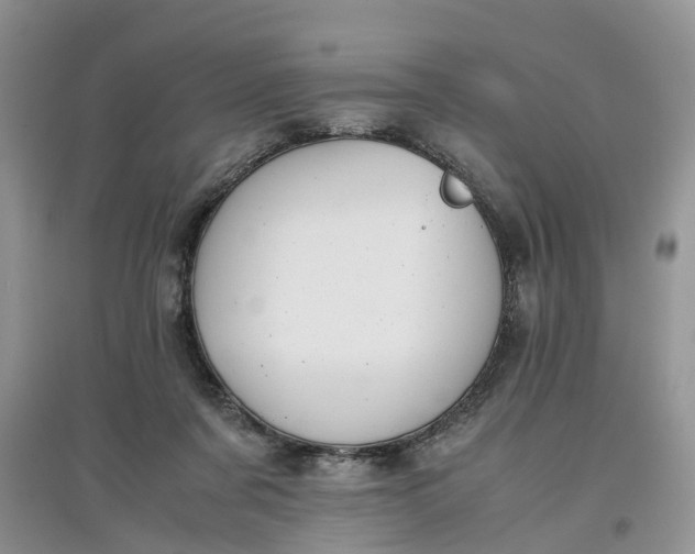 X0000097660311200803142138