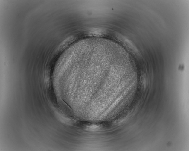 X0000097660312200803142138