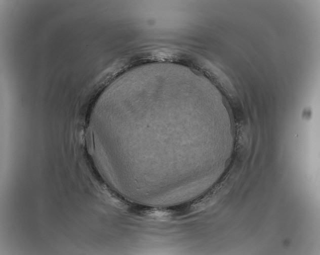 X0000097660313200803142138