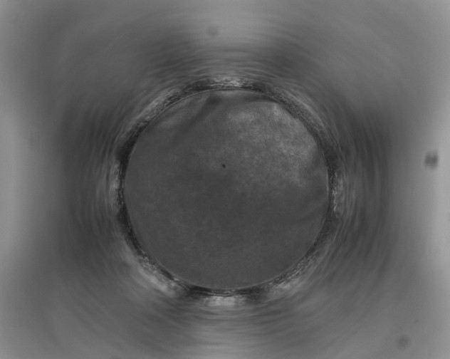X0000097660314200803142138