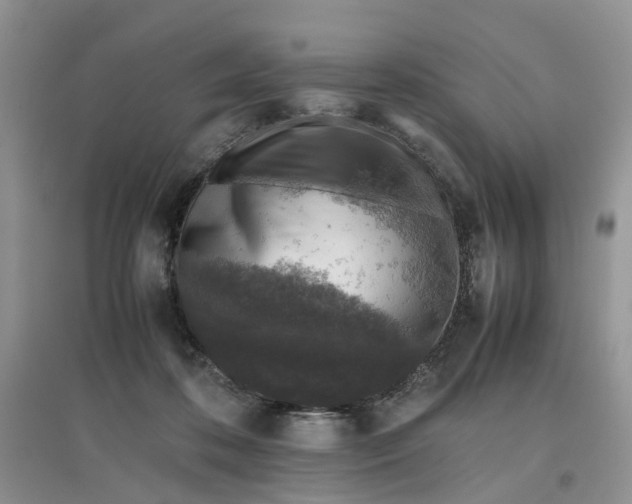 X0000097660316200803142138