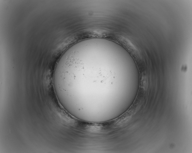 X0000097660318200803142138