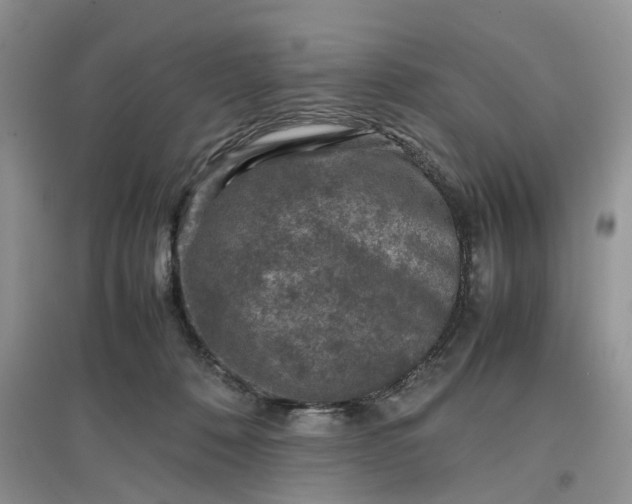 X0000097660320200803142138