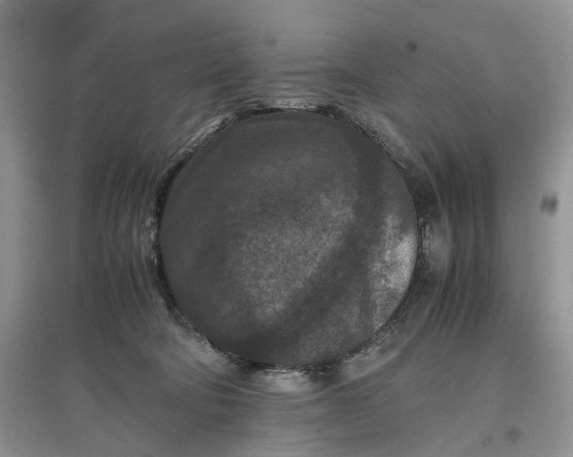 X0000097660322200803142138