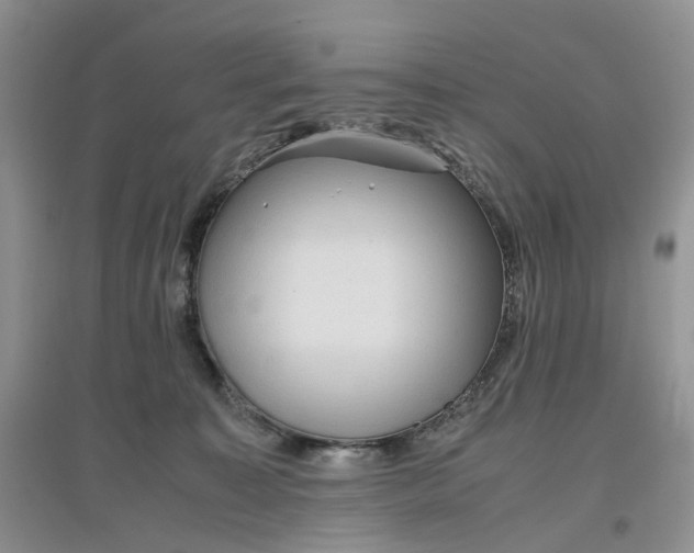 X0000097660323200803142138