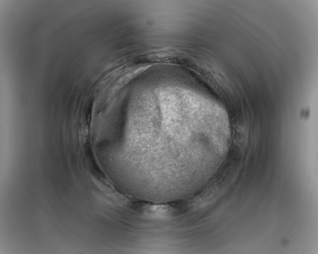 X0000097660324200803142138