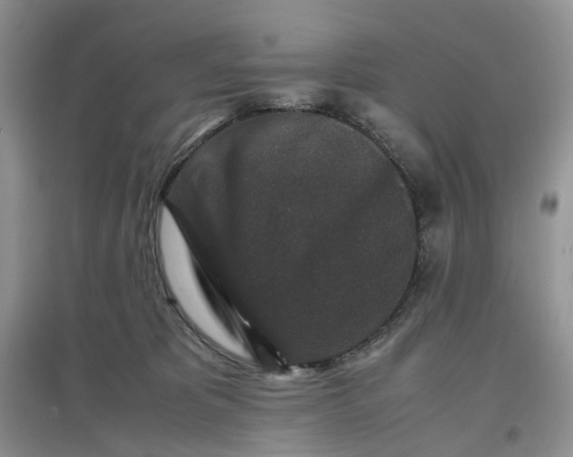 X0000097660325200803142138