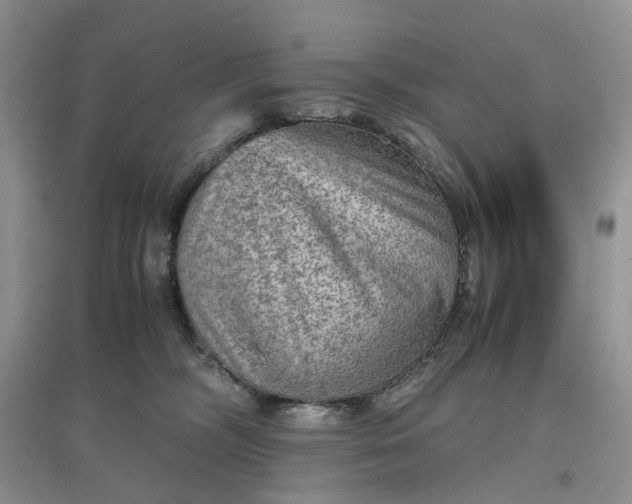 X0000097660326200803142138