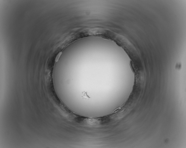 X0000097660327200803142138