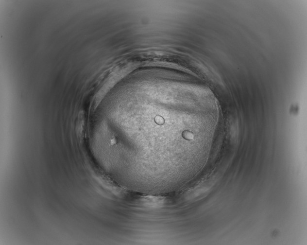 X0000097660328200803142138
