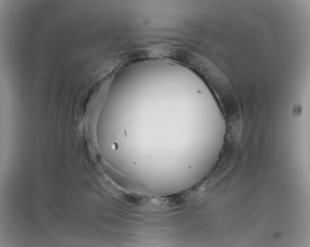 X0000097660329200803142138