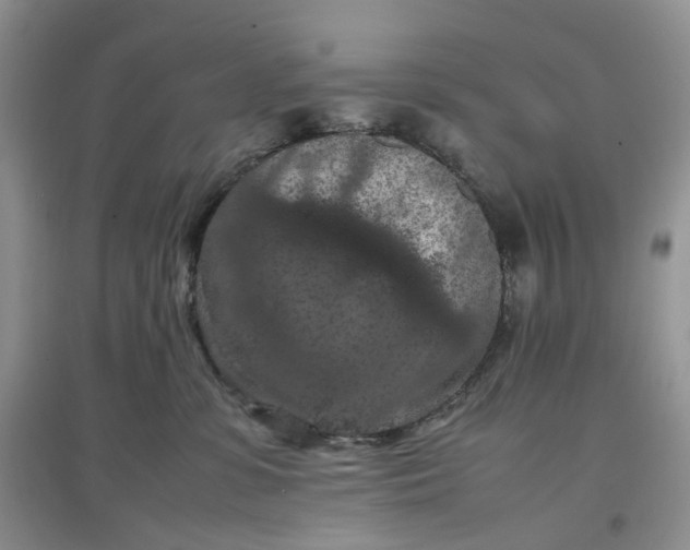 X0000097660331200803142138