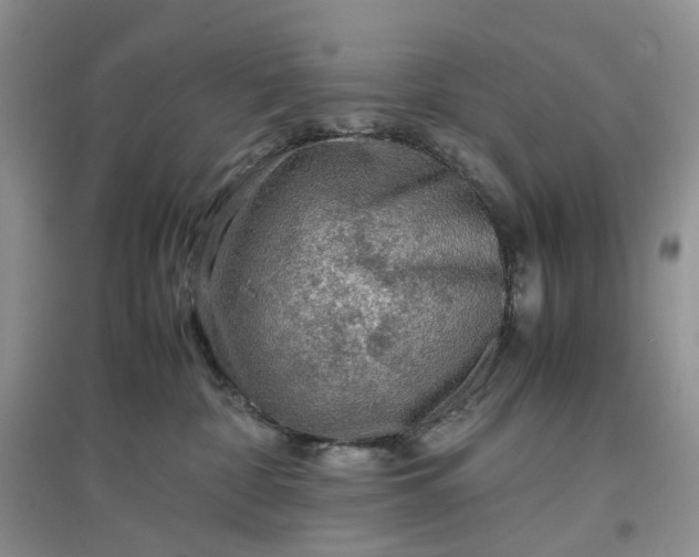 X0000097660332200803142138