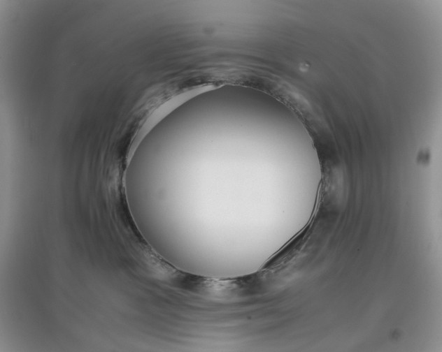 X0000097660333200803142138