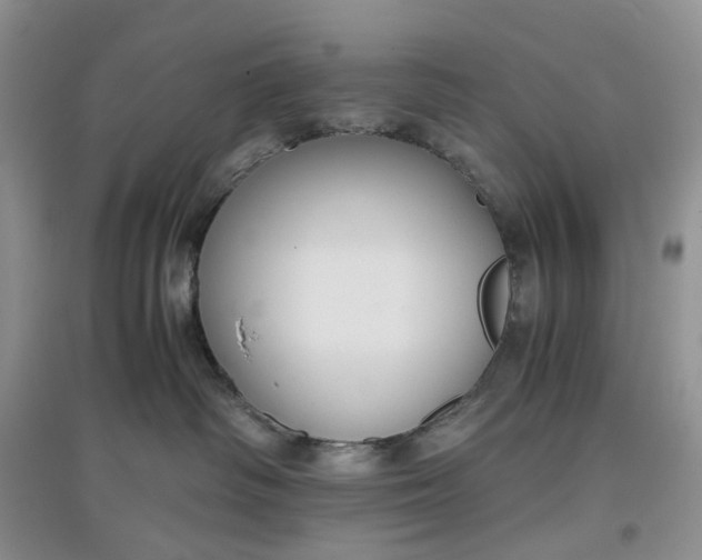 X0000097660334200803142138