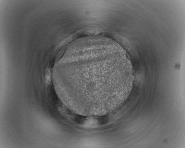 X0000097660335200803142138