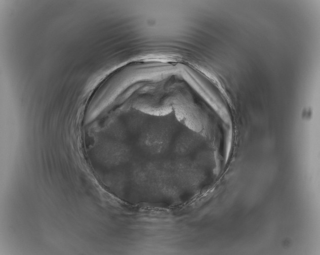 X0000097660337200803142137