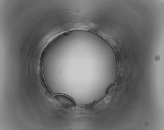 X0000097660338200803142137