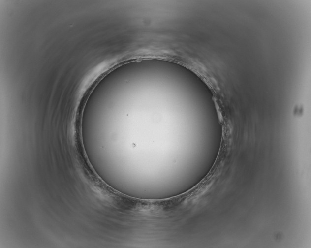 X0000097660340200803142137