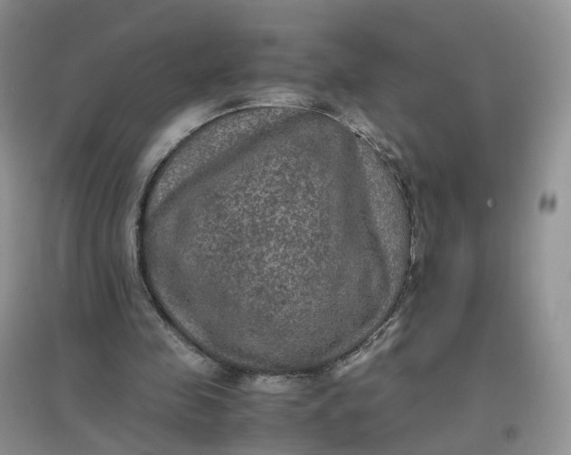 X0000097660341200803142137