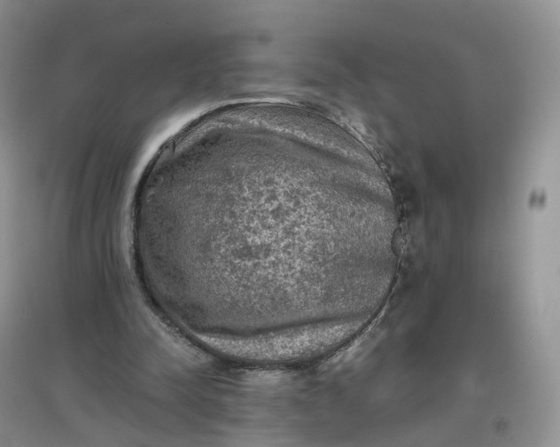 X0000097660342200803142137