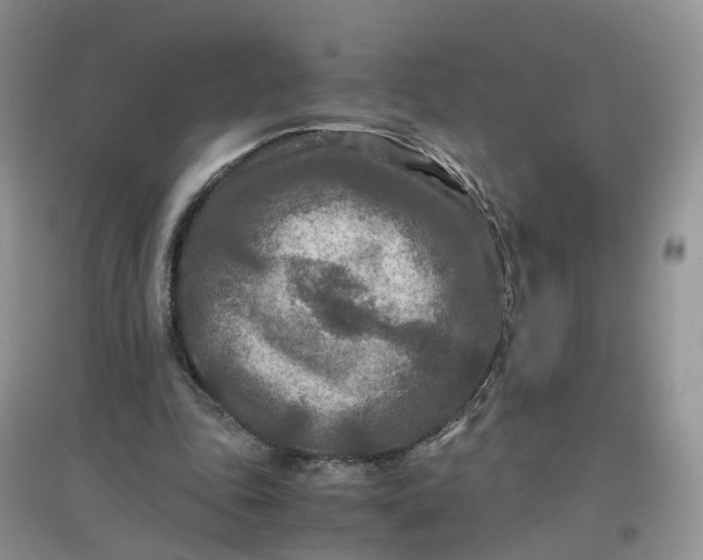 X0000097660343200803142137