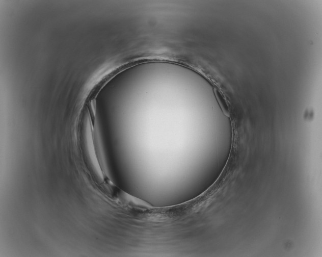 X0000097660344200803142137