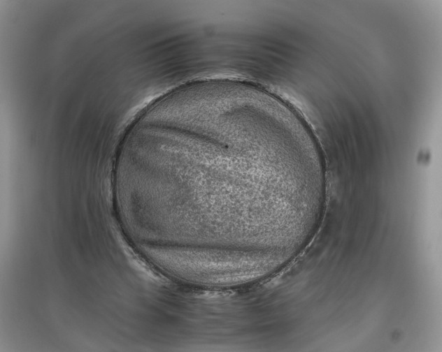 X0000097660345200803142137