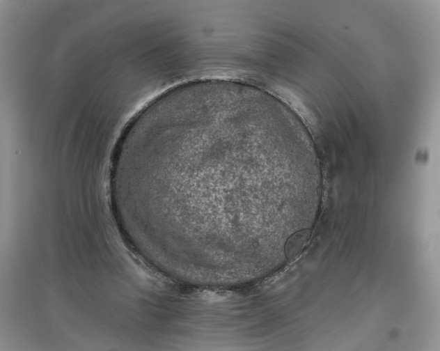 X0000097660346200803142137