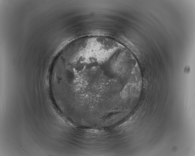 X0000097660347200803142137
