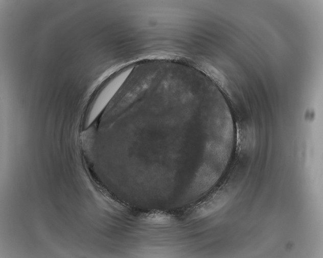 X0000097660348200803142137