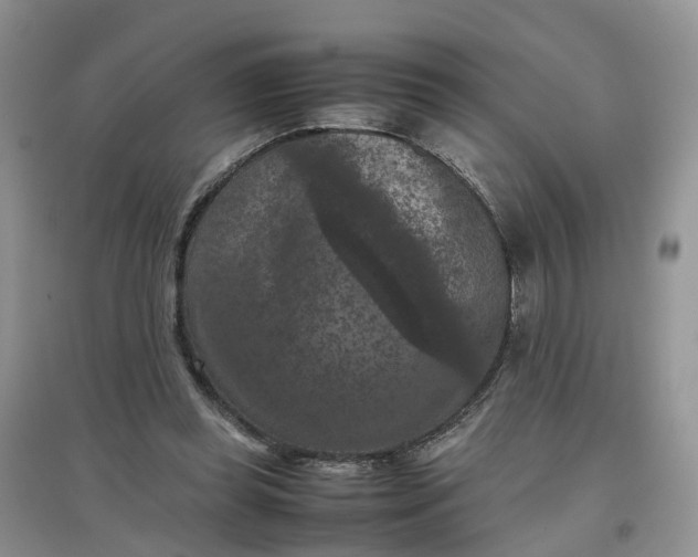 X0000097660349200803142137