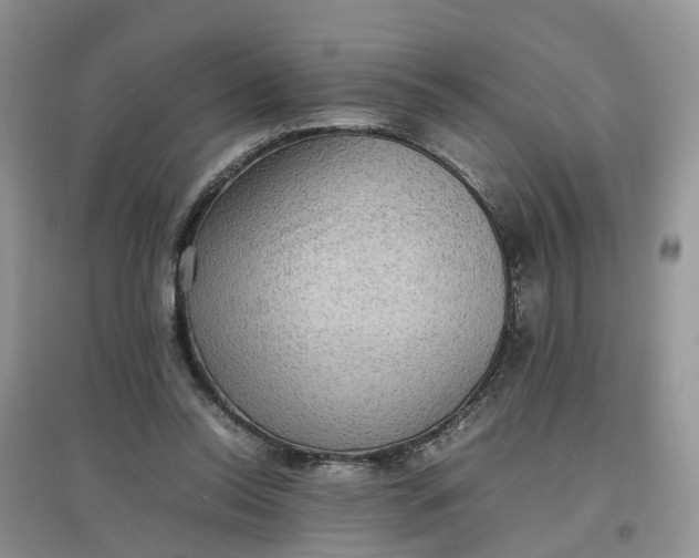 X0000097660350200803142137