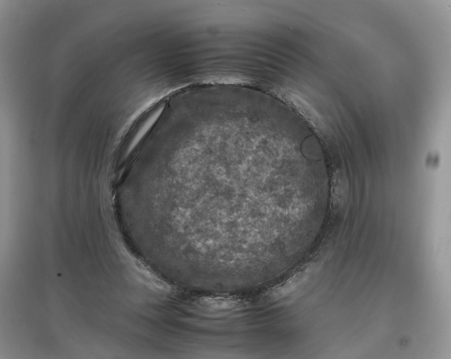 X0000097660351200803142137
