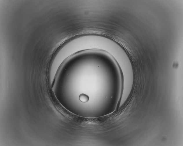 X0000097660352200803142137
