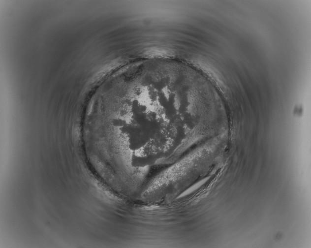 X0000097660353200803142137