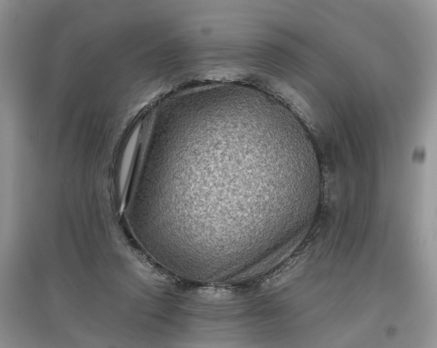 X0000097660354200803142137