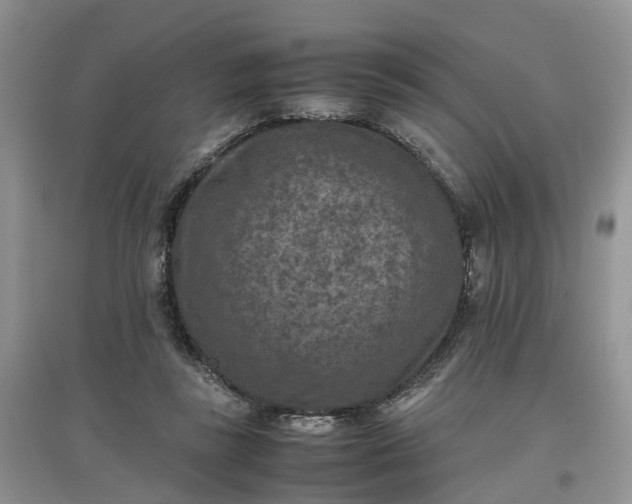 X0000097660355200803142137