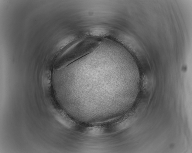X0000097660356200803142137