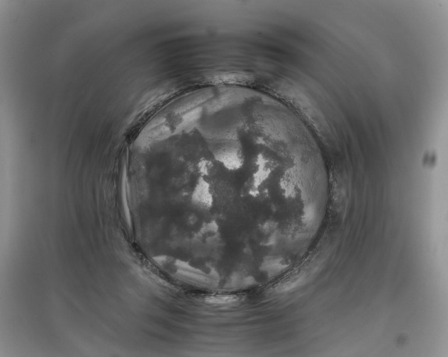 X0000097660357200803142137