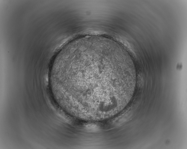 X0000097660358200803142137