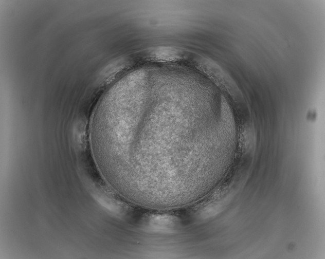 X0000097660360200803142137