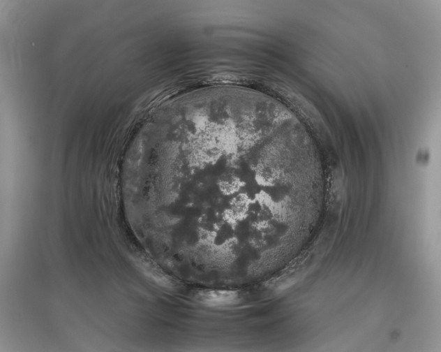 X0000097660361200803142137