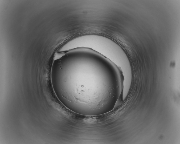 X0000097660362200803142137