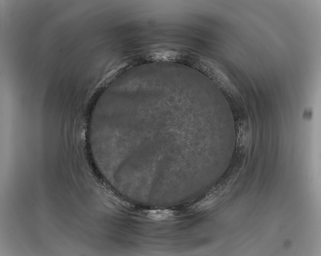 X0000097660363200803142137