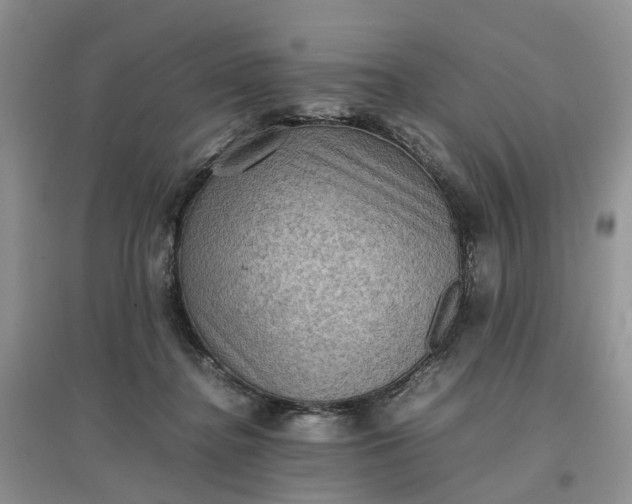 X0000097660364200803142137