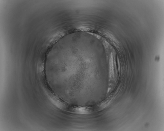 X0000097660365200803142137