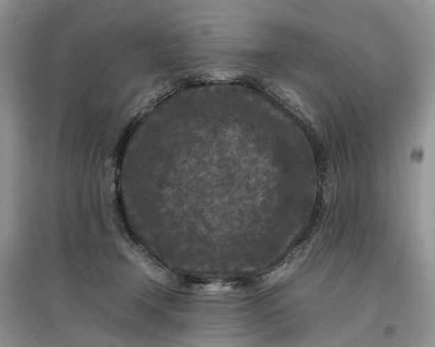 X0000097660366200803142137