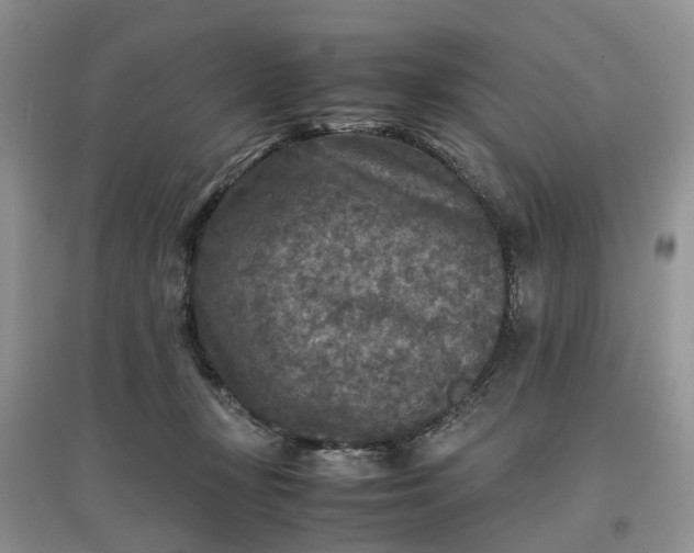 X0000097660367200803142137
