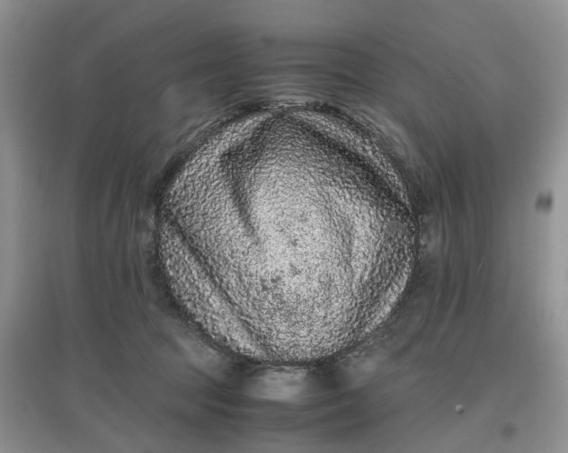 X0000097660369200803142137